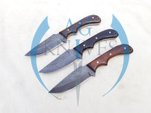 Load image into Gallery viewer, lot of 3 Handmade High Carbon Steel Hunting Skinner Knives with Wood Handle 9'' - Cowboyknives by AGKNIVESUSA