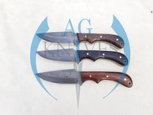 Load image into Gallery viewer, lot of 3 Handmade High Carbon Steel Hunting Skinner Knives with Wood Handle 9'' - Cowboyknives by AGKNIVESUSA
