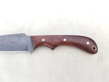 Load image into Gallery viewer, lot of 3 Handmade High Carbon Steel Hunting Skinner Knives with Wood Handle 9'' - Cowboyknives by AGKNIVESUSA