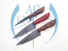 Load image into Gallery viewer, lot of 3 Handmade High Carbon Steel Hunting Skinner Knives 10'' - Cowboyknives by AGKNIVESUSA