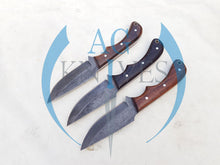 Load image into Gallery viewer, lot of 3 Handmade High Carbon Steel Hunting Skinner Knives with Wood Handle 9'' - Cowboyknives by AGKNIVESUSA